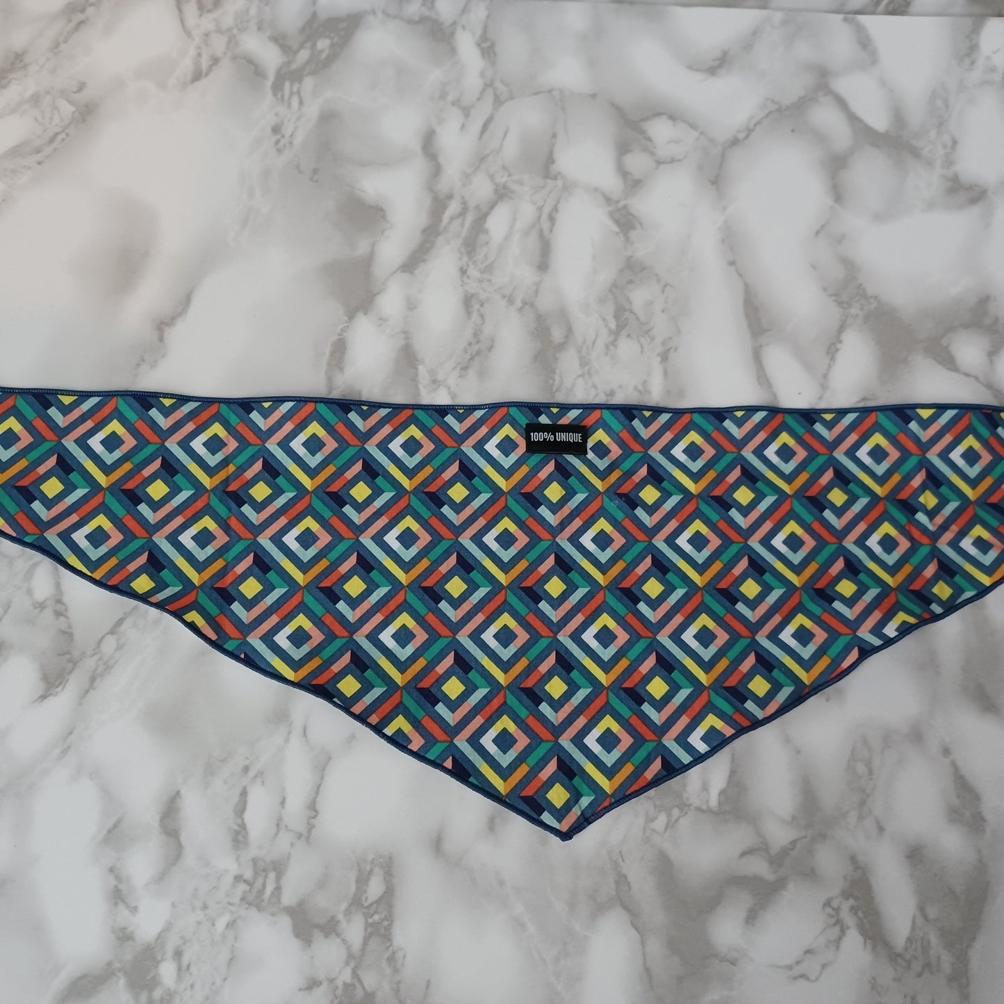 Modèle A-Chat et chien-Foulard avec carrés multicolores/Bandana with multicolored squares