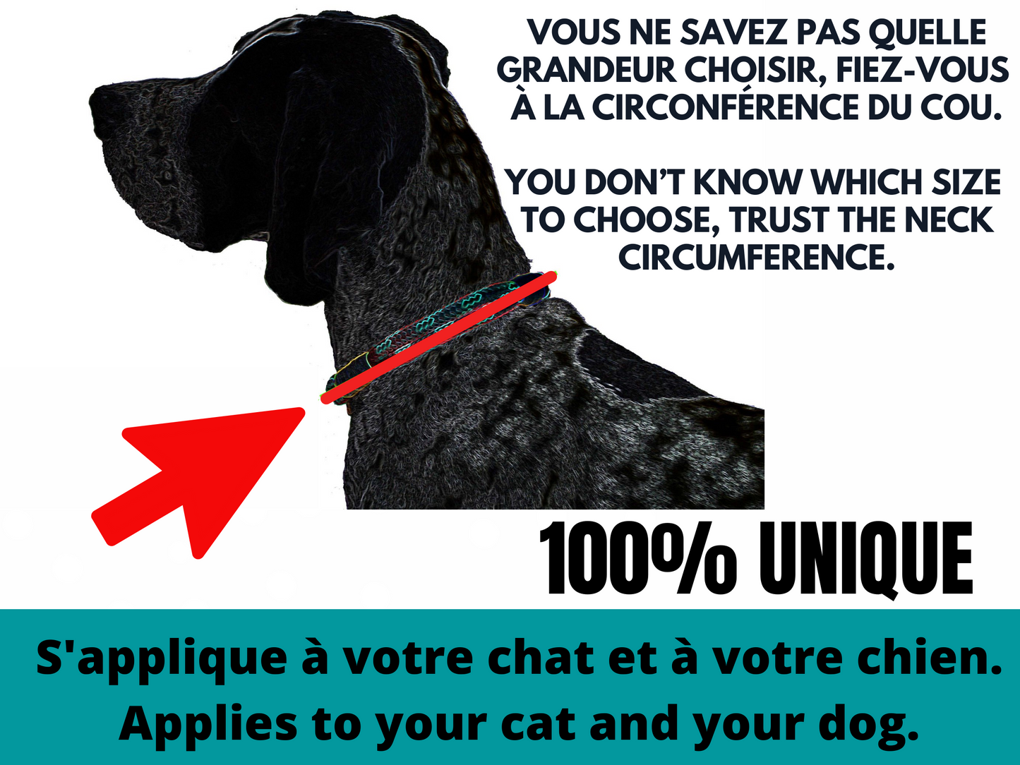 Modèle B-Chat et chien-Foulard par-dessus le collier-WOW!-OMG!-Noir-jaune-bleu-rouge/Bandana over the collar-WOW!-OMG! -Black-yellow-blue-red