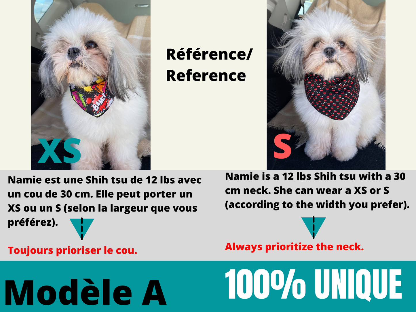 Modèle A- Chat et chien-Foulard Bisounours-Calinours/Bandana the Care Bears