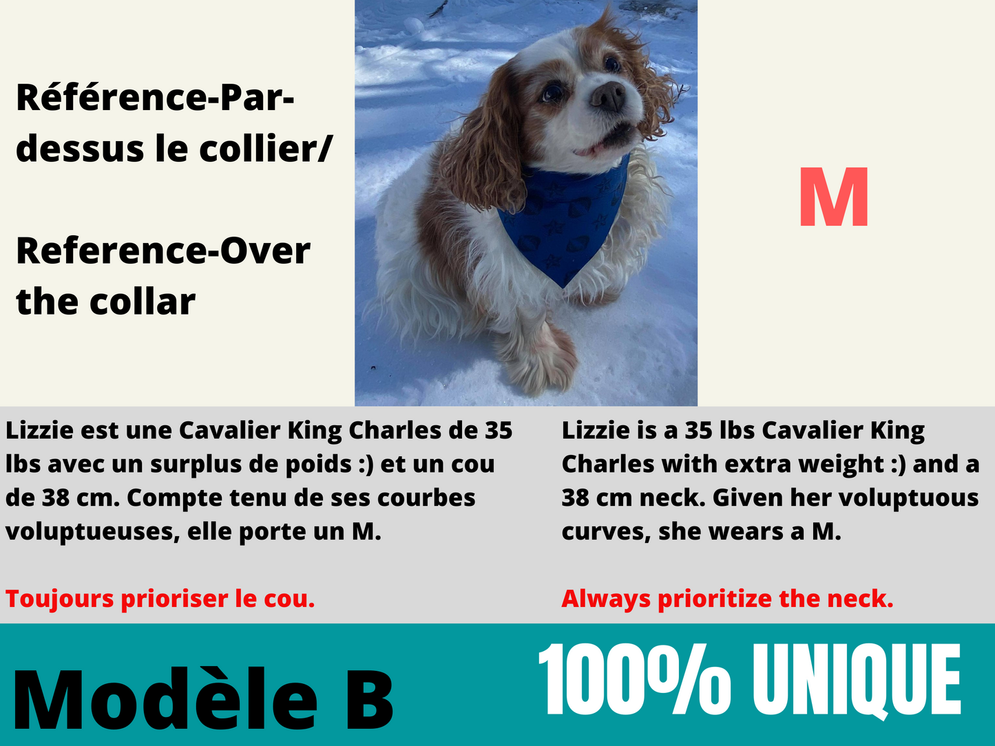 Modèle B-Chat et chien-Foulard par-dessus le collier-Blanc-nuage gris OH! Bang! bleu/Bandana over the collar-White-gray cloud OH! Bang! blue