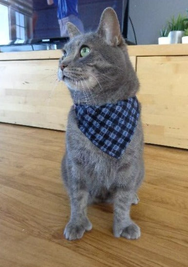 Modèle B-Chat et chien-Foulard par-dessus le collier-Carreauté noir et gris-mauve/Bandana over the collar- Checkered black and gray-purple
