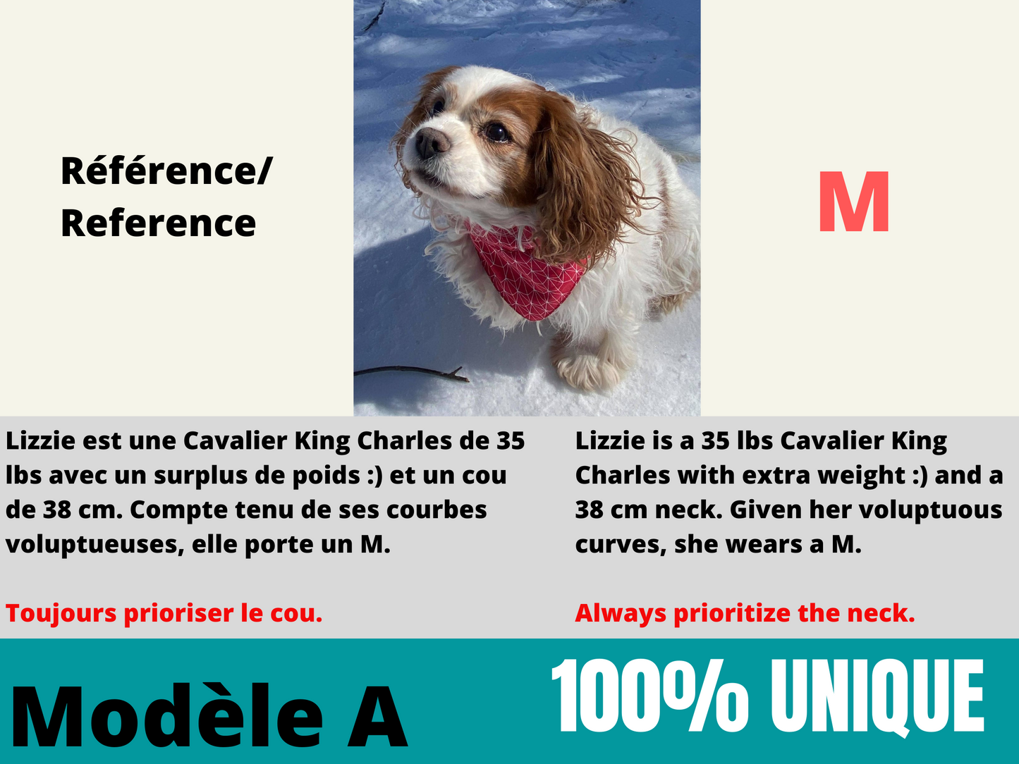 Modèle A- Chat et chien-Foulard noir avec étoiles blanches/Bandana black with white stars