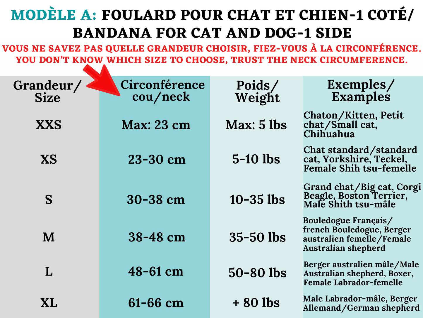 Modèle A-Chat et chien-Foulard avec carrés multicolores/Bandana with multicolored squares