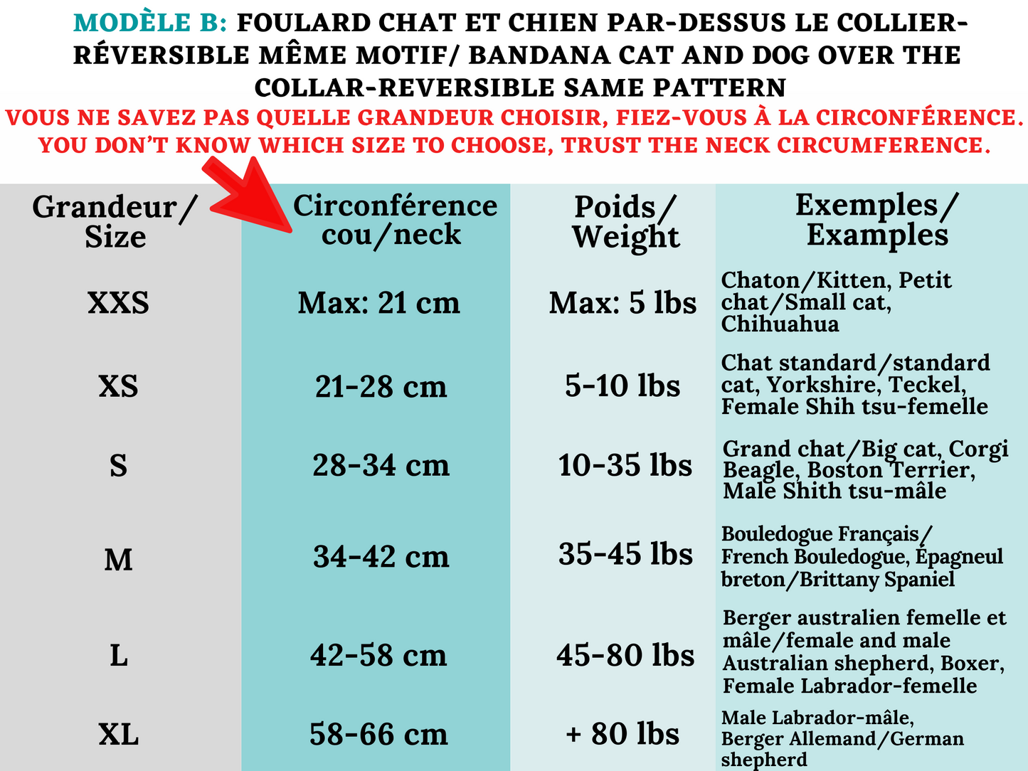 Modèle B-Chat et chien-Foulard par-dessus le collier-Baroque-Turquoise et blanc/Bandana over the collar-Baroque-Turquoise and white
