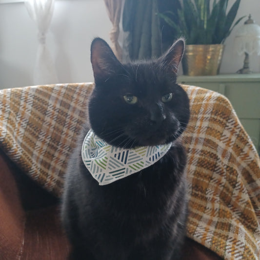 Modèle A- Chat et chien-Foulard Blanc avec lignes bleues-grises et vertes/White bandana with blue-gray and green lines