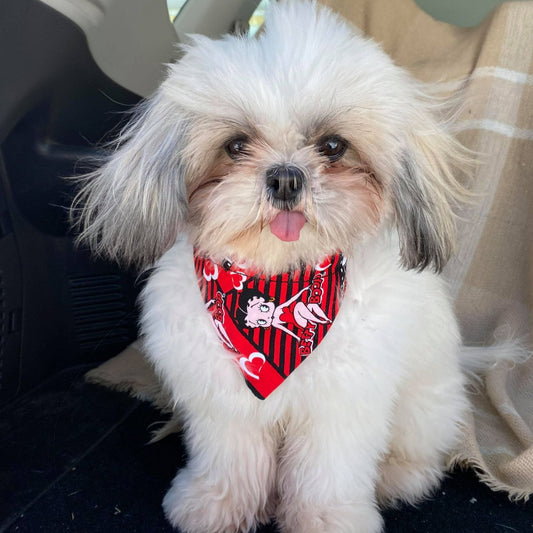 Modèle B-Chat et chien-Foulard par-dessus le collier-Rouge et noir Betty Boop/Bandana over the collar-Red and black Betty Boop