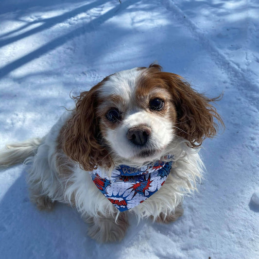 Modèle B-Chat et chien-Foulard par-dessus le collier-Blanc-nuage gris OH! Bang! bleu/Bandana over the collar-White-gray cloud OH! Bang! blue