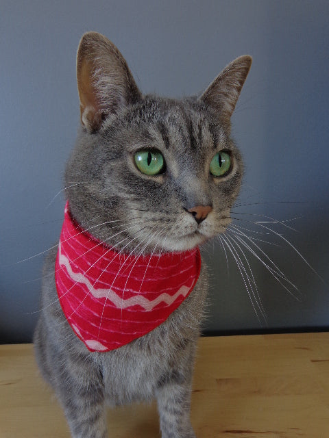 Modèle A- Chat et chien-Foulard rose avec vague rose pâle/Pink bandana with pale pink wave