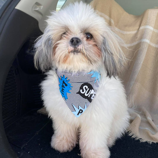 Modèle B-Chat et chien-Foulard par-dessus le collier-Bam!-Pow!-Bleu, noir et blanc/Bandana over the collar- Bam!-Pow! -Blue, black and white