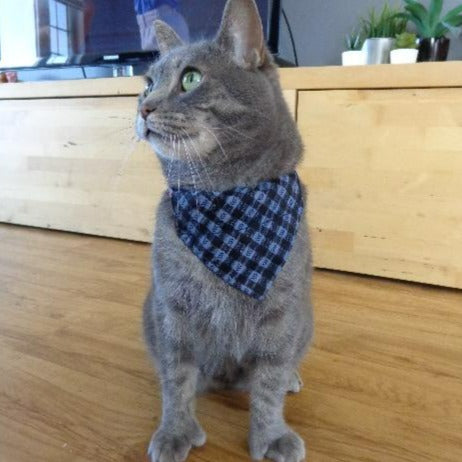 Modèle B-Chat et chien-Foulard par-dessus le collier-Carreauté noir et gris-mauve/Bandana over the collar- Checkered black and gray-purple
