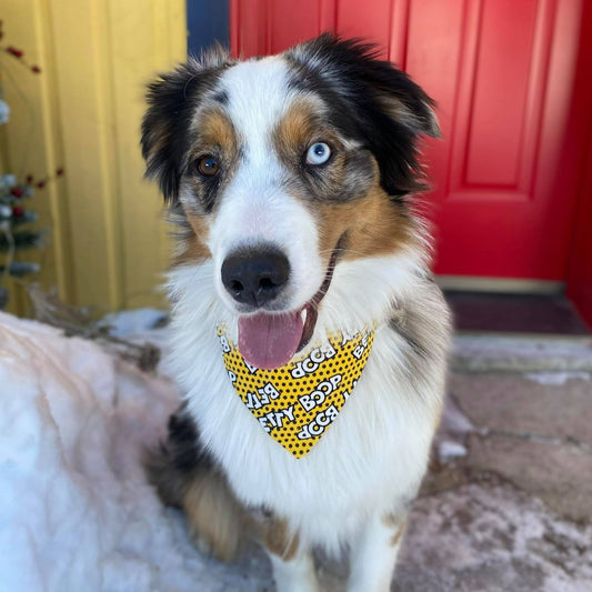 Modèle B-Chat et chien-Foulard par-dessus le collier-Jaune Betty Boop/Bandana over the collar-Yellow Betty Boop
